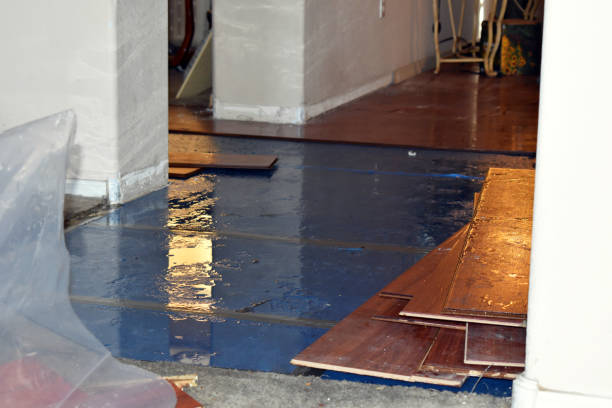 Professional Sewage Cleanup technician working in Cary, NC
