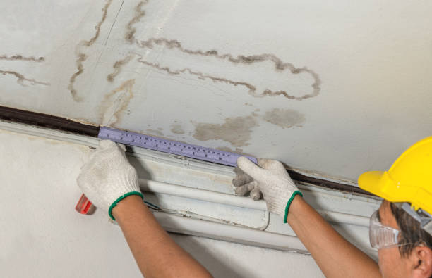 Reliable Sewage Cleanup contractor in Cary, NC by Water Damage Irwin